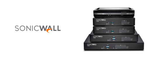 Seguridad perimetral 1